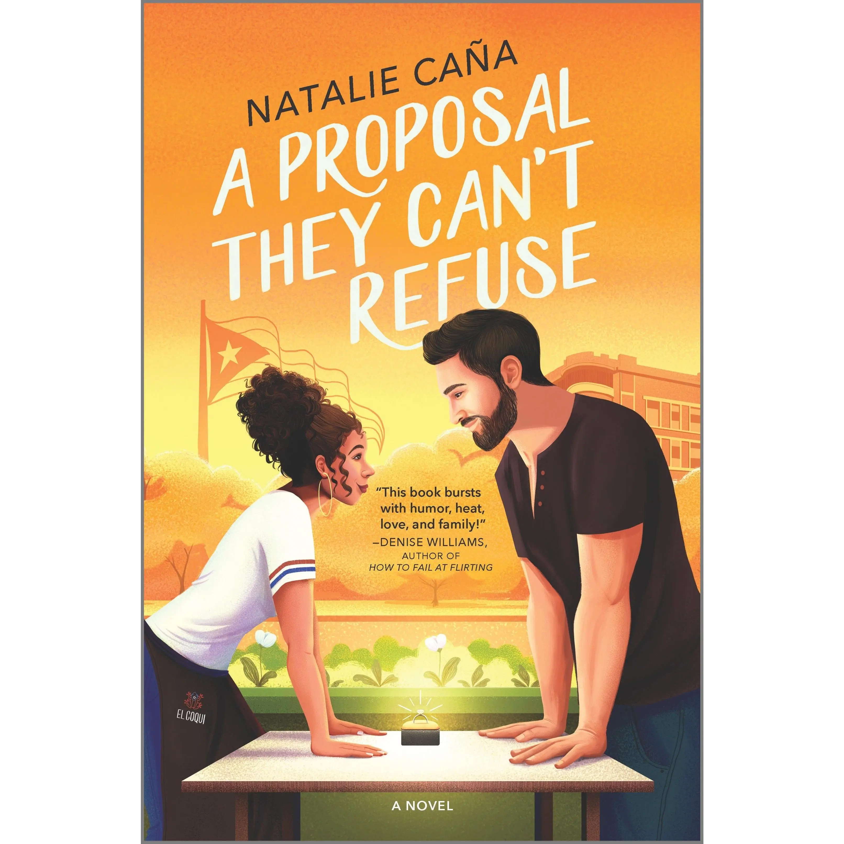 A Proposal They Can't Refuse: A Rom-Com Novel (Vega Family Love Stories: Volume Number 1) by Natalie Caña [Paperback Book]