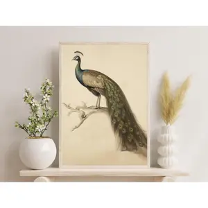 Charming Peacock Art Print - Vintage Botanical Art for Farmhouse Decor - Nature Wall Print, Vintage Drawing, Animal Sketch, Wall Art Gift