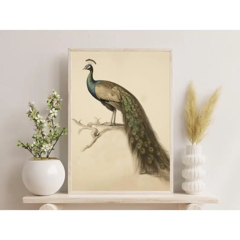 Charming Peacock Art Print - Vintage Botanical Art for Farmhouse Decor - Nature Wall Print, Vintage Drawing, Animal Sketch, Wall Art Gift