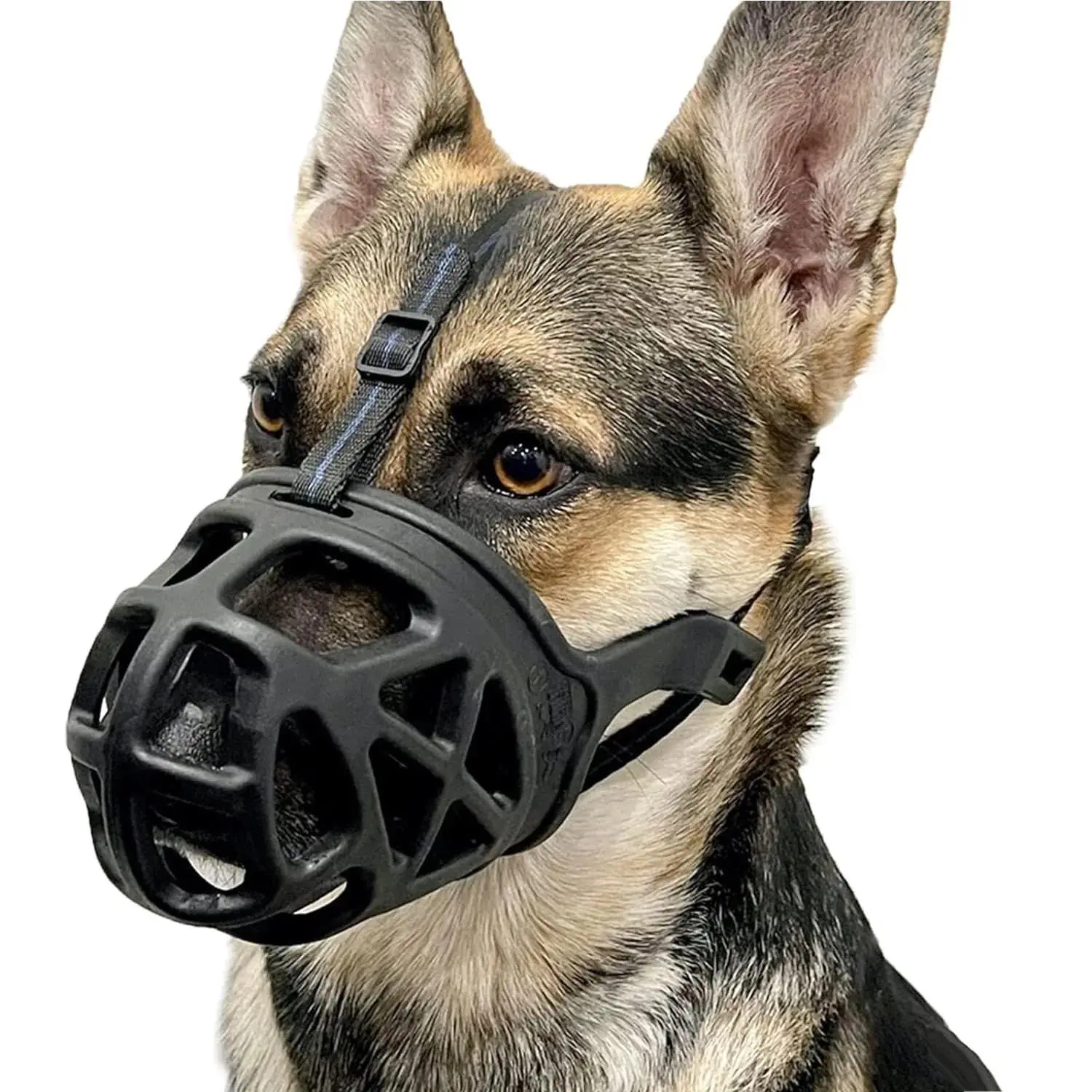 Dog Basket Muzzle, Humane Mouth Cover for Biting, Chewing & Scavenging, Ideal for Large Dog Grooming and Training