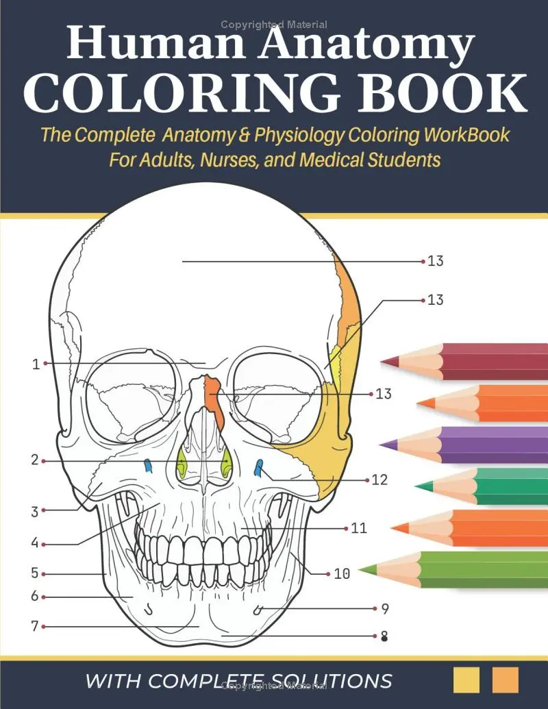 Human Anatomy Coloring Book - The Complete Anatomy & Physiology Coloring Workbook for Adults, Nurses & Medical Students: A&P Quick Self Assessment Study Guide