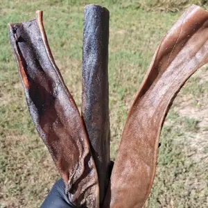 12" Camel Skin