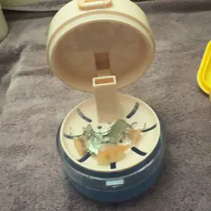 review image 5