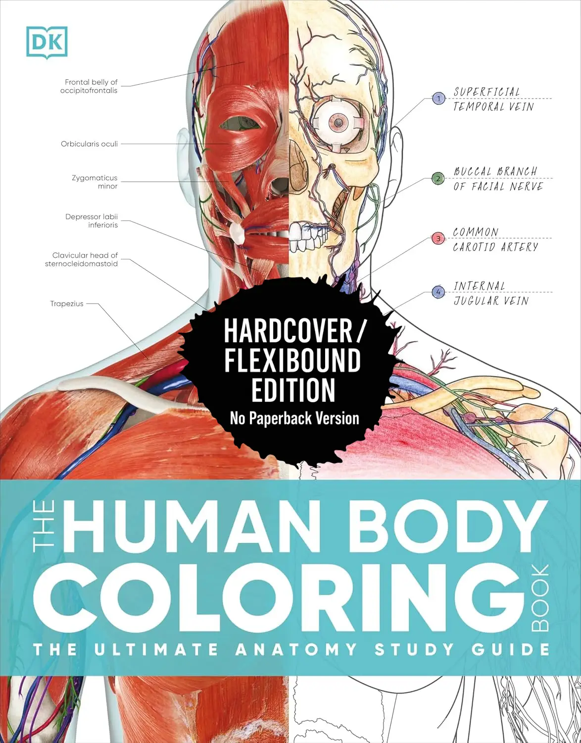 Fast Shipping — The Human Body Coloring Book, 2nd Edition (Flexibound, DK) | Premium Study Guide for Anatomy & Medical Students