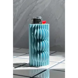 Mercury Lighter Case