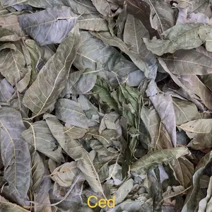 Fèy Ced (sèd)