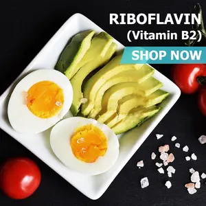 Riboflavin (Vitamin B2) - Essential Nutrient for Healthcare and Dietary Support Fitness Supplement