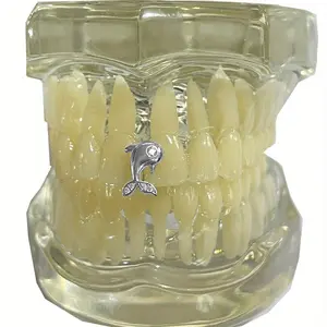 5 pcs Dolphin Zirconia Single Tooth Hip Hop Bracelet Hip Hop Tooth Stage Prop Bracelet