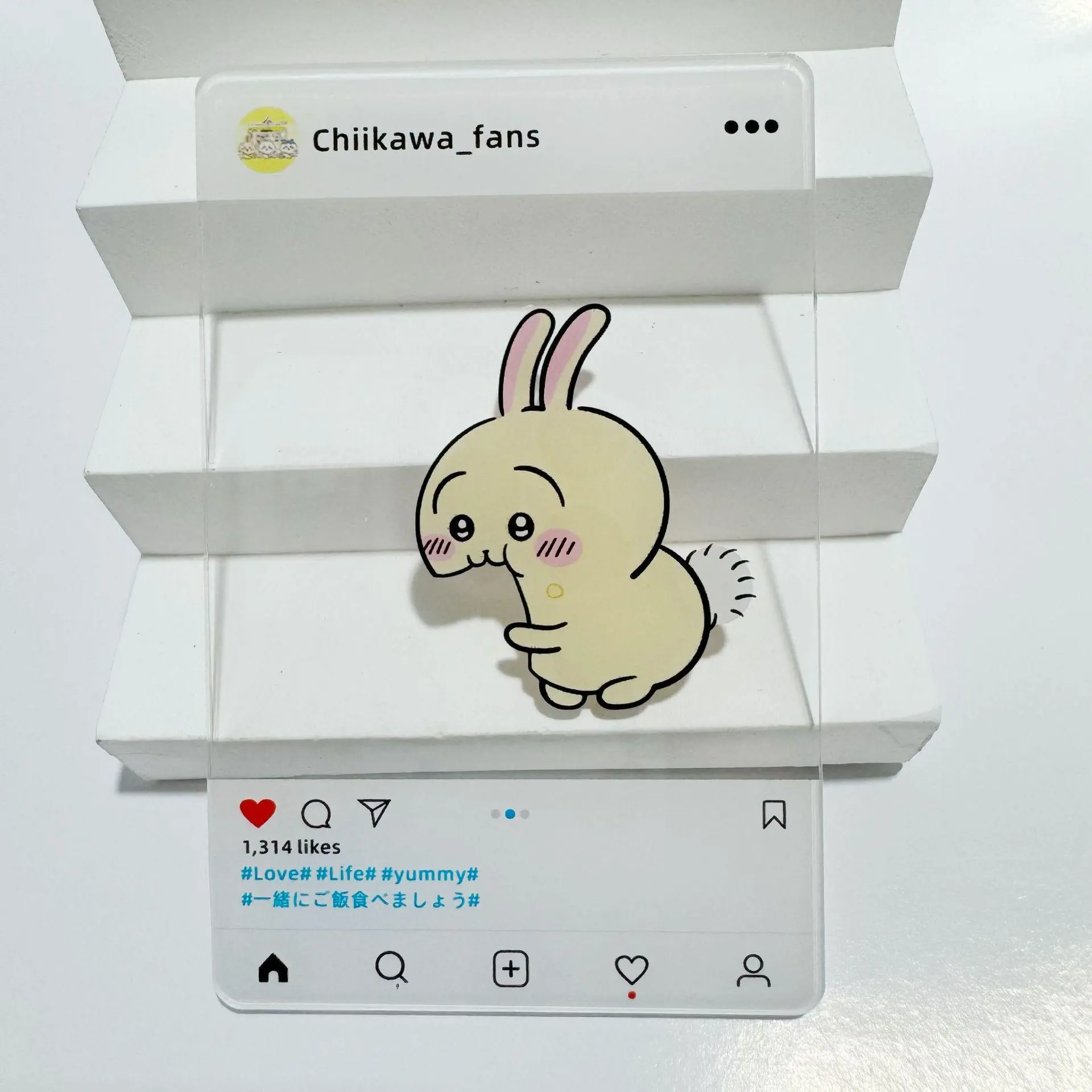 Chikawa Acrylic Photo Card with Transparent Cover, Cute 3-inch Photo-taking Accessory and Decoration Gift Nagano