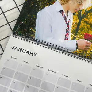 Fabi0 Capri 2026 Wall Calendar, Aesthetic Lifestyle Calendar, Room Decor, Fan Gift 2026