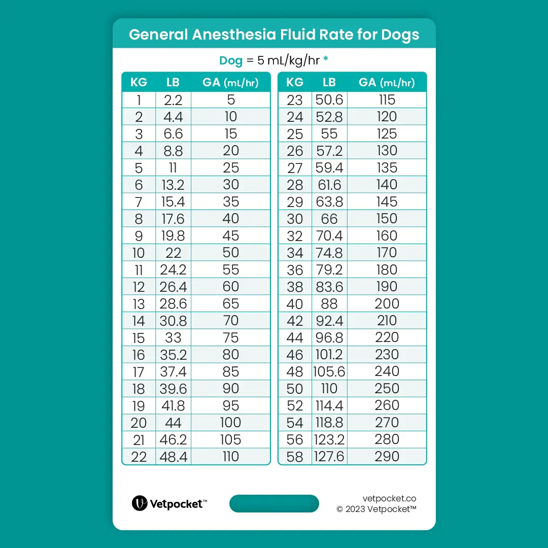 General Anesthesia Fluid Rate for Dogs and Cats