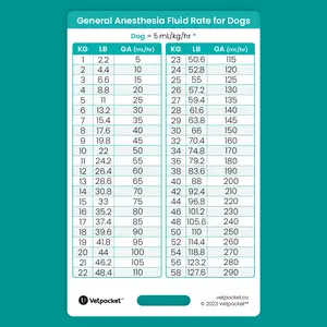 General Anesthesia Fluid Rate for Dogs and Cats