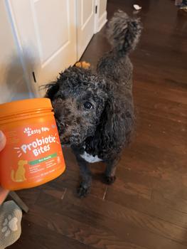 product review image from Kristin Michelle 13