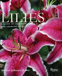 USED-Lilies: A Guide to Choosing and Growing Lilies by Michael Jefferson-Brown (Hardcover)
