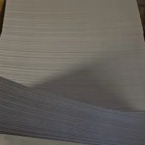 Columbia's Envelopes No. 10 4 1/8 x 9 inches White Paper Sheets for Secure Business Transactions Pack of 100 White Wolf Security Tent