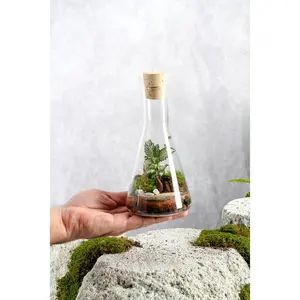 Flask Terrarium