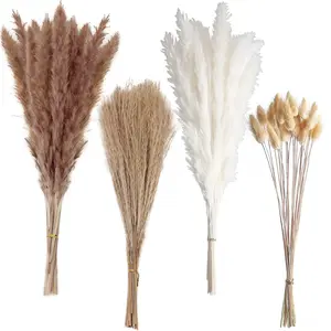 100pcs Small Bohemian Style Pampas Grass, 17inch Natural Dried Pampas Grass, Pampas Grass for Wedding Decoration, Bohemian Style Party Decoration, Table Decoration (Brown and White)