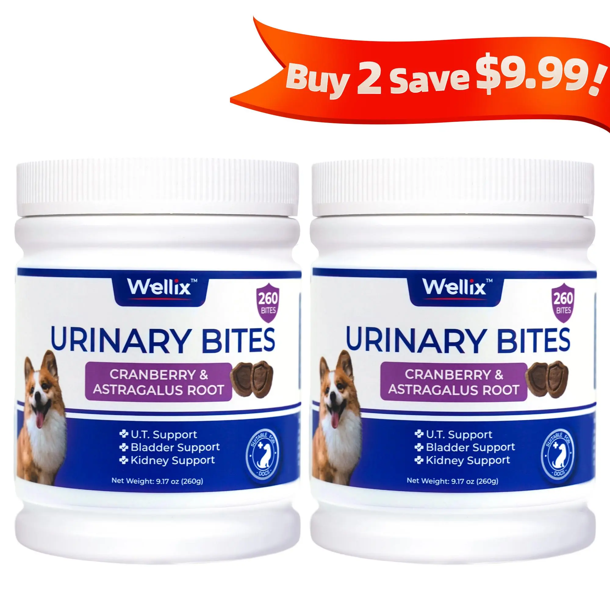 2 Urinary Bites