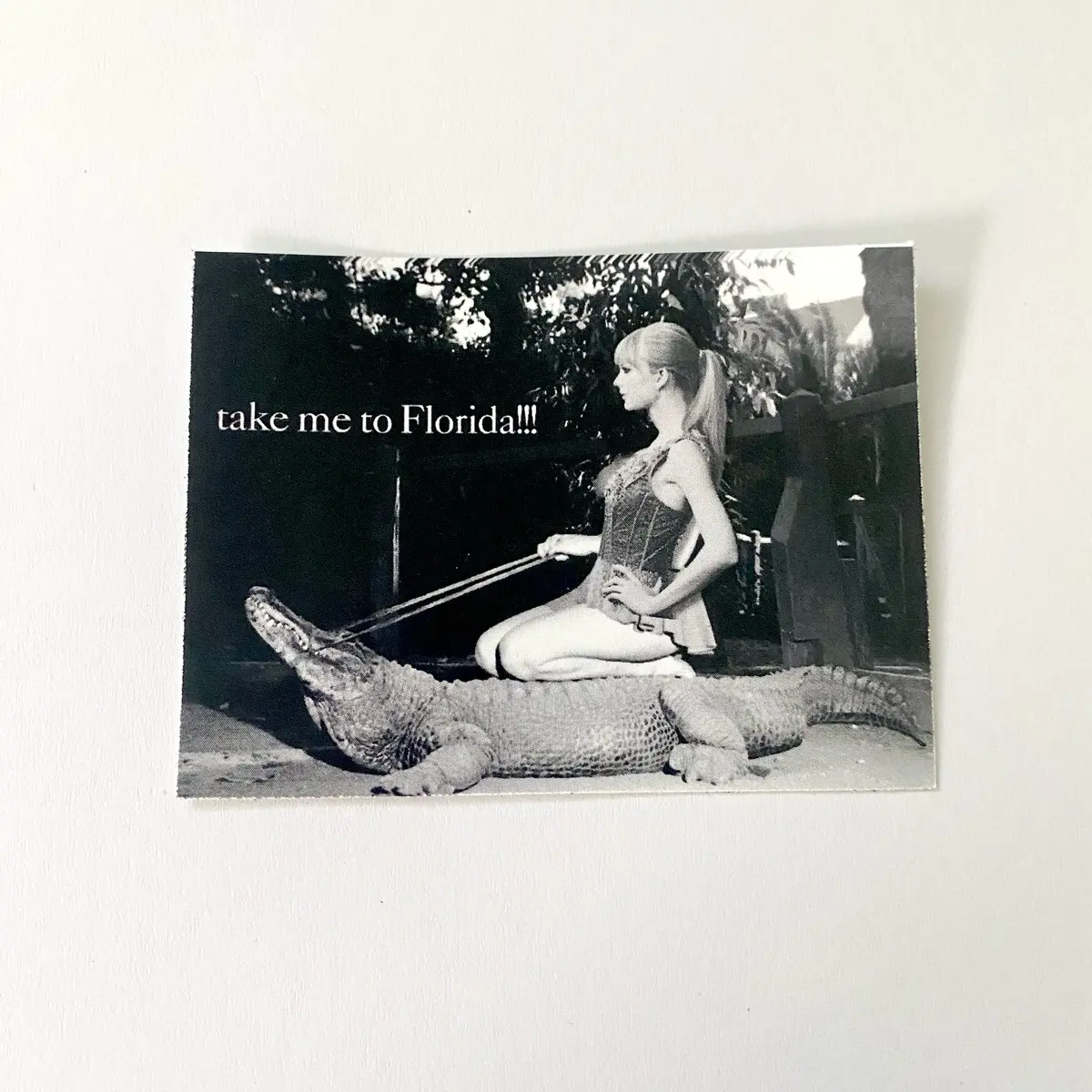 Take me to Florida Swift sticker