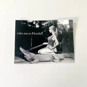 Take me to Florida Swift sticker