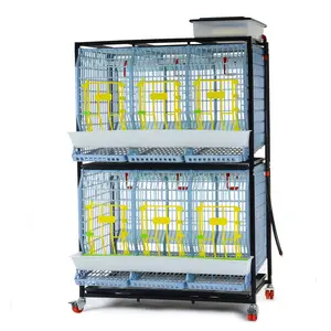 Chicken Cage - 2 Layer H: 22" - Dual-Layer Poultry Cage (22" Height) for Comfort & Safety