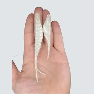 Magnum Striper Snack – Bigger, Bolder, & Pre-Loaded with Pheromones for More Strikes! soft plastic