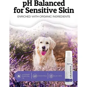 Nuesta Pets Pet Care Waterless Lavender Dog Shampoo - No-Rinse Foaming Cleanser with Aloe & Oat, pH Balanced, Freshens Coat, Soothes Skin, 3-Pack, 8oz Each, No Parabens or SLS