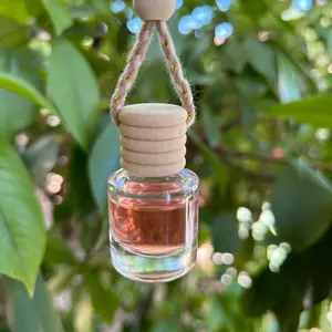 Car oil diffuser (Watermelon)