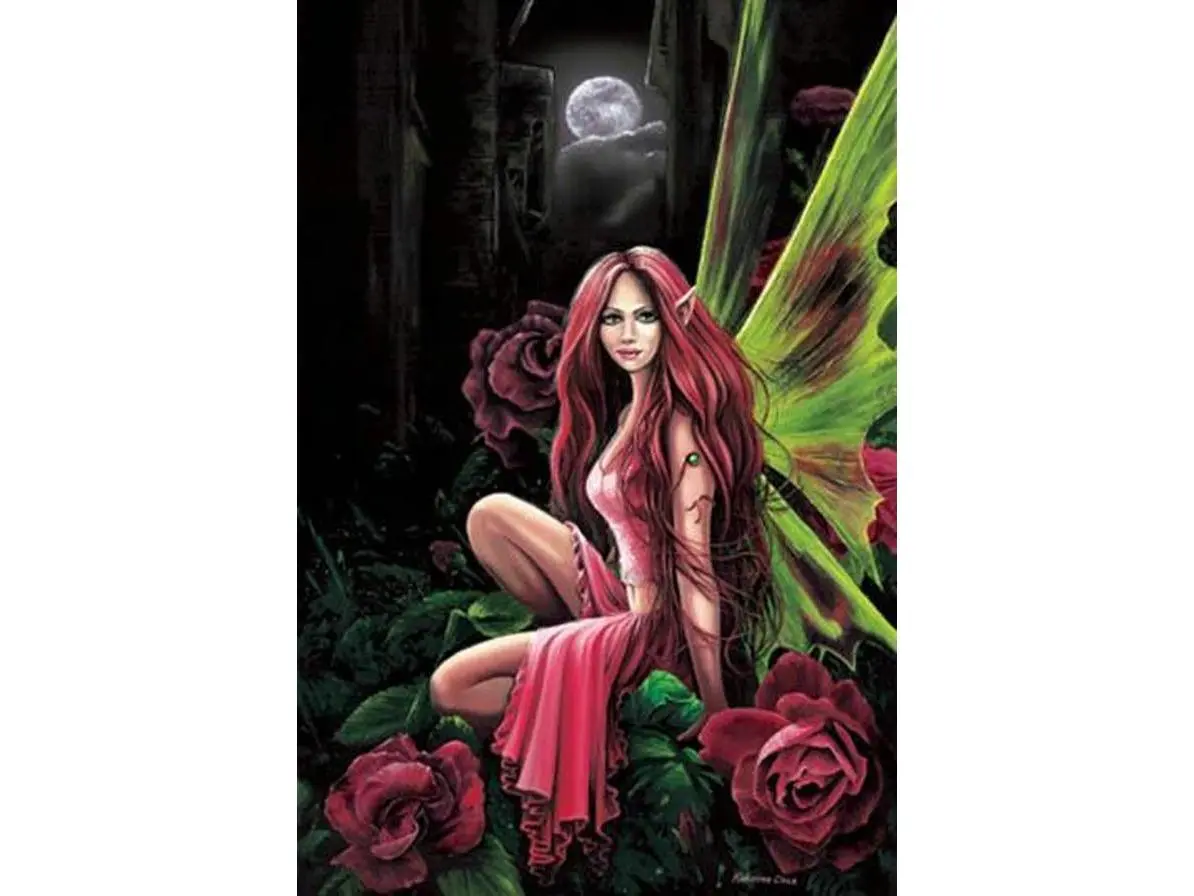 2614-16x20-FD Moonlight Fairy Poster