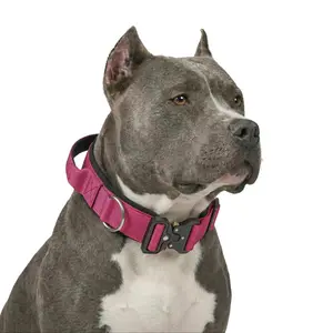 Pink Blue Forest Green Heavy Duty Polyester Dog Collar with Metal Buckle, Durable Padded Training Collar for Pitbull Medium Large Dogs, Adjustable Pet Walking Gear