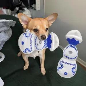 Funny Dog Toy with Squeaker, Plush Dog Toy for All Sizes, Great 21st Birthday Gift, Durable Polyester Fabric Design