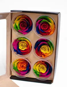 Rainbow Ecuadorian Eternity Flowers Preserved Roses Pack of 6 6cm to 7cm