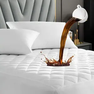 Waterproof Mattress Protector Queen - Quilted Ultra-Soft Noiseless Bed Cover with Deep Pocket