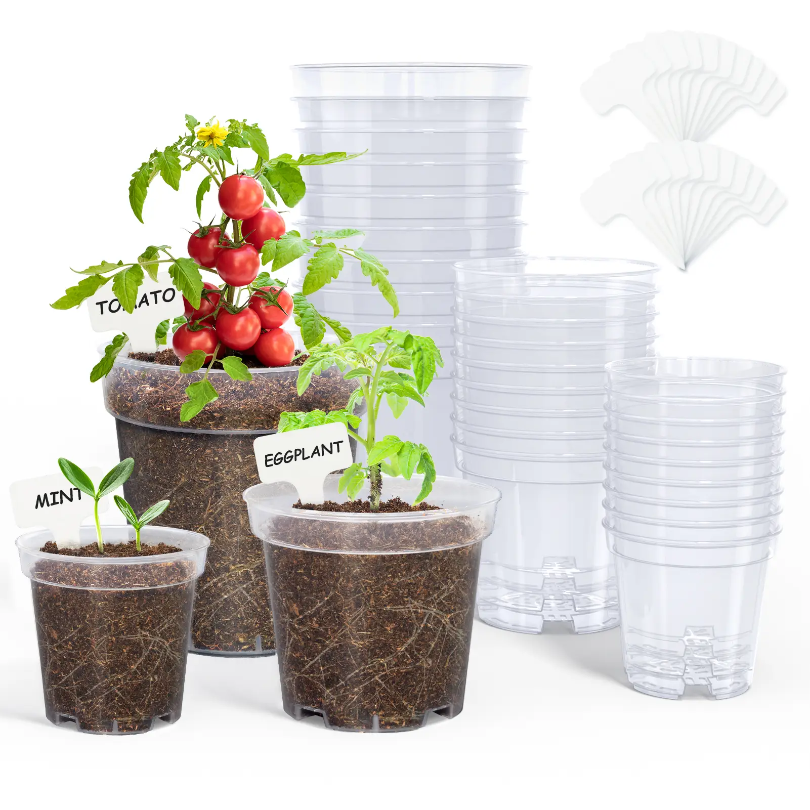 HOMENOTE Nursery Clear Pots for Plants, 3/4/5 Inch Plant Pot for Planting, Garden Accessories, Plastic Flower Pots with Drainage Holes, with 20 Labels