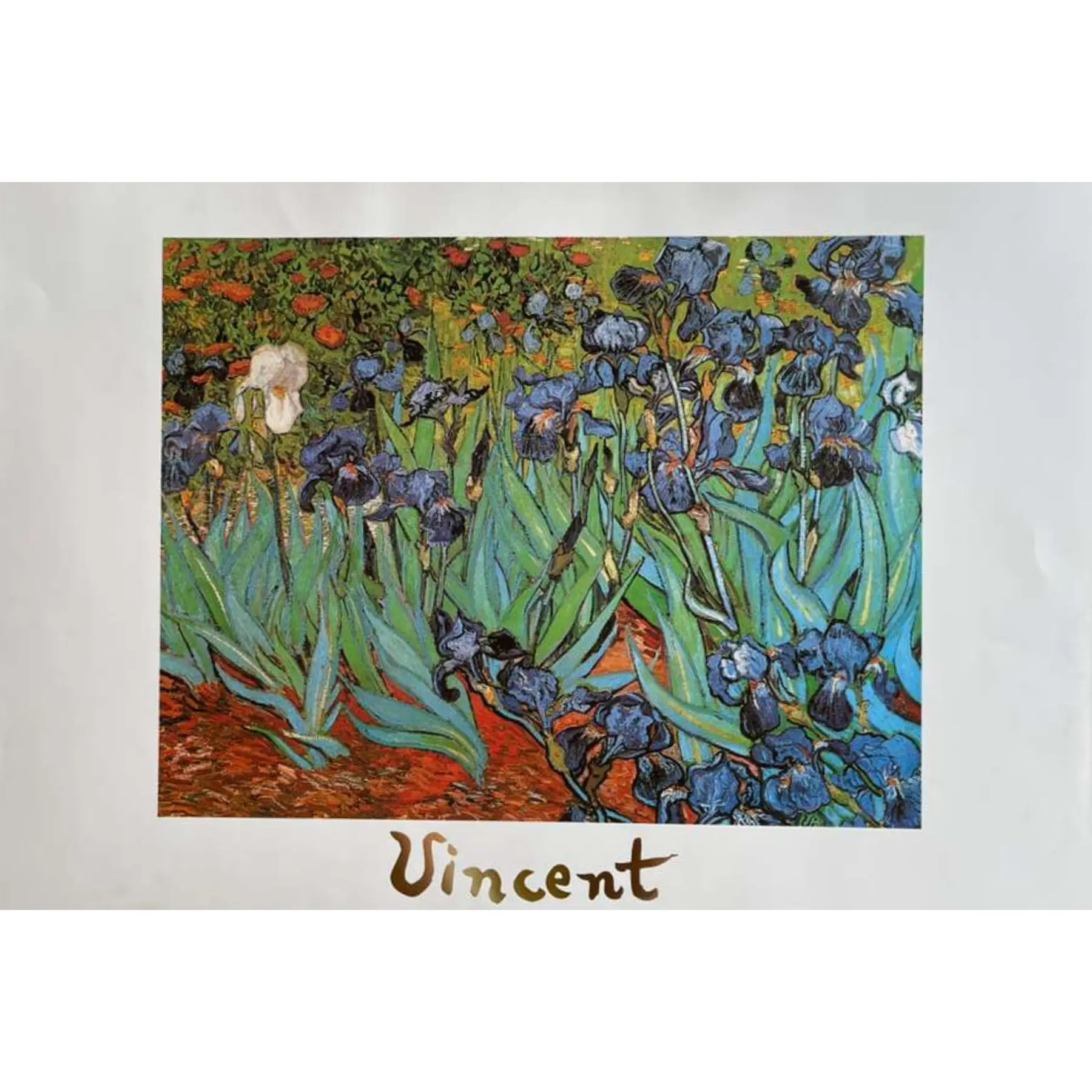 Vincent Van Gogh’s 'Irises' Artistic Litho Floral Poster Print - 27.5in x 19.5in Deep Violet-Blue Single White Iris Decorative Wall Art, Rich Ochre Soil Home Decor Supply