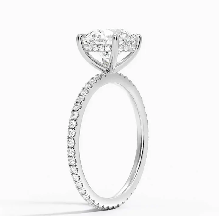 Hidden Halo Ring