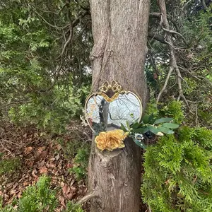 Golden royal mirror Golden royal mirror