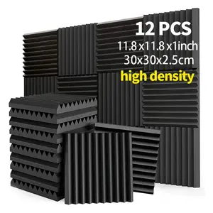 12-piece pack of black sound-absorbing acoustic foam boards, high resilience, sound absorption and noise reduction, 11.8 x 11.8 x 1 inch, suitable for wall mounting in home studios, recording studios, home theaters, etc.