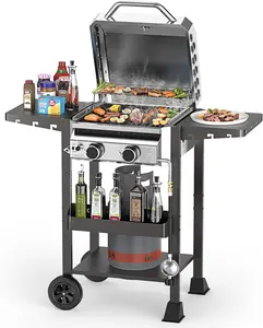Propane Gas Grill with 2-Burner, Outdoor Gas BBQ Grill with Side Storage Shelves, Top Cover Lid, Oil Tray, Wheels, Barbeque Stove for Barbecue Cooking, Patio, Camping and Party, 16000 BTU