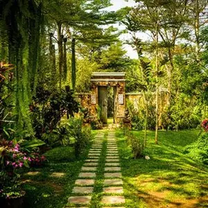Mindful Kawa Annual Membership