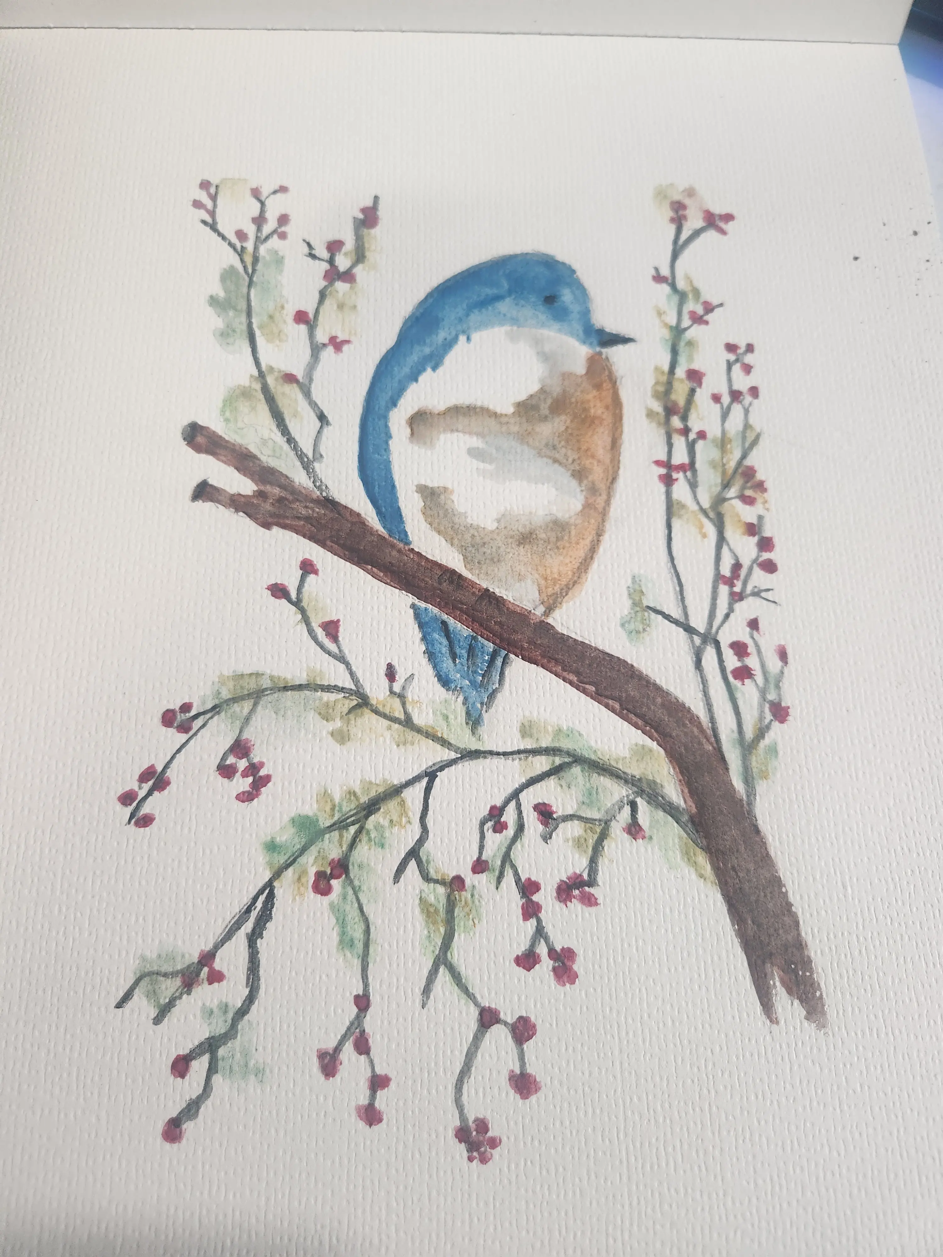 Bluebird Watercolor Painting Print Delicate Nature-Inspired Art for Wall Decor & Gifts Soft Hues Gentle Techniques Captivating Bluebird Artwork Enhances Space