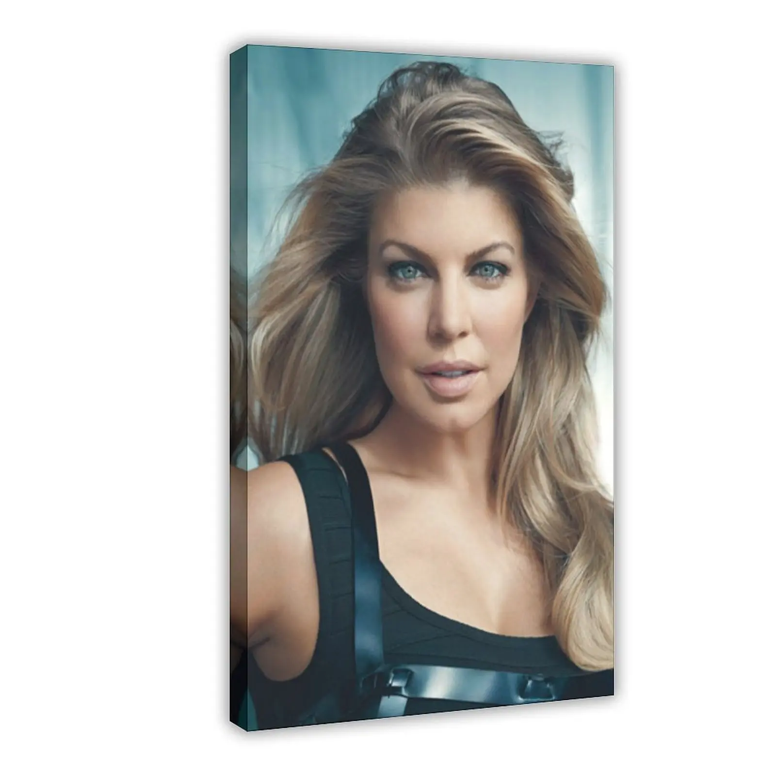 Singer Poster Fergie 15 bedroom canvas posters, hall wall art, bathroom canvas posters, home poster decoration