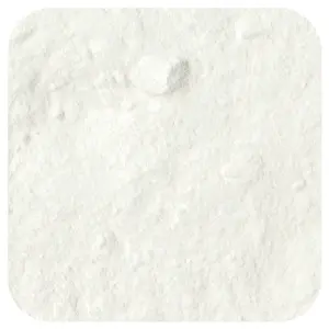 Frontier Co-op Baking Powder, 16 oz (453 g)
