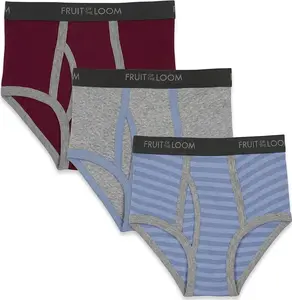 Fruit of the Loom 100% Cotton Briefs, Tagless Daily Underwear (3-Pack) Assorted Colors