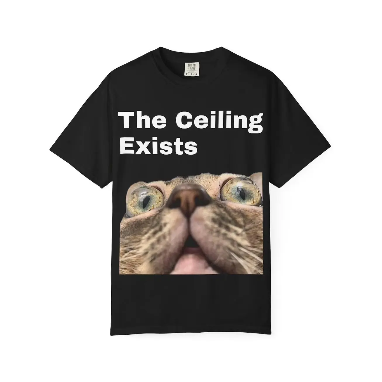 Gumbus The Ceiling Exists Unisex T-shirt
