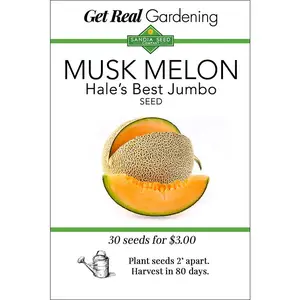 Muskmelon Cantaloupe Seeds - Hale's Best Jumbo