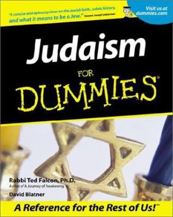 USED-Judaism for Dummies by Ted Falcon (Paperback)