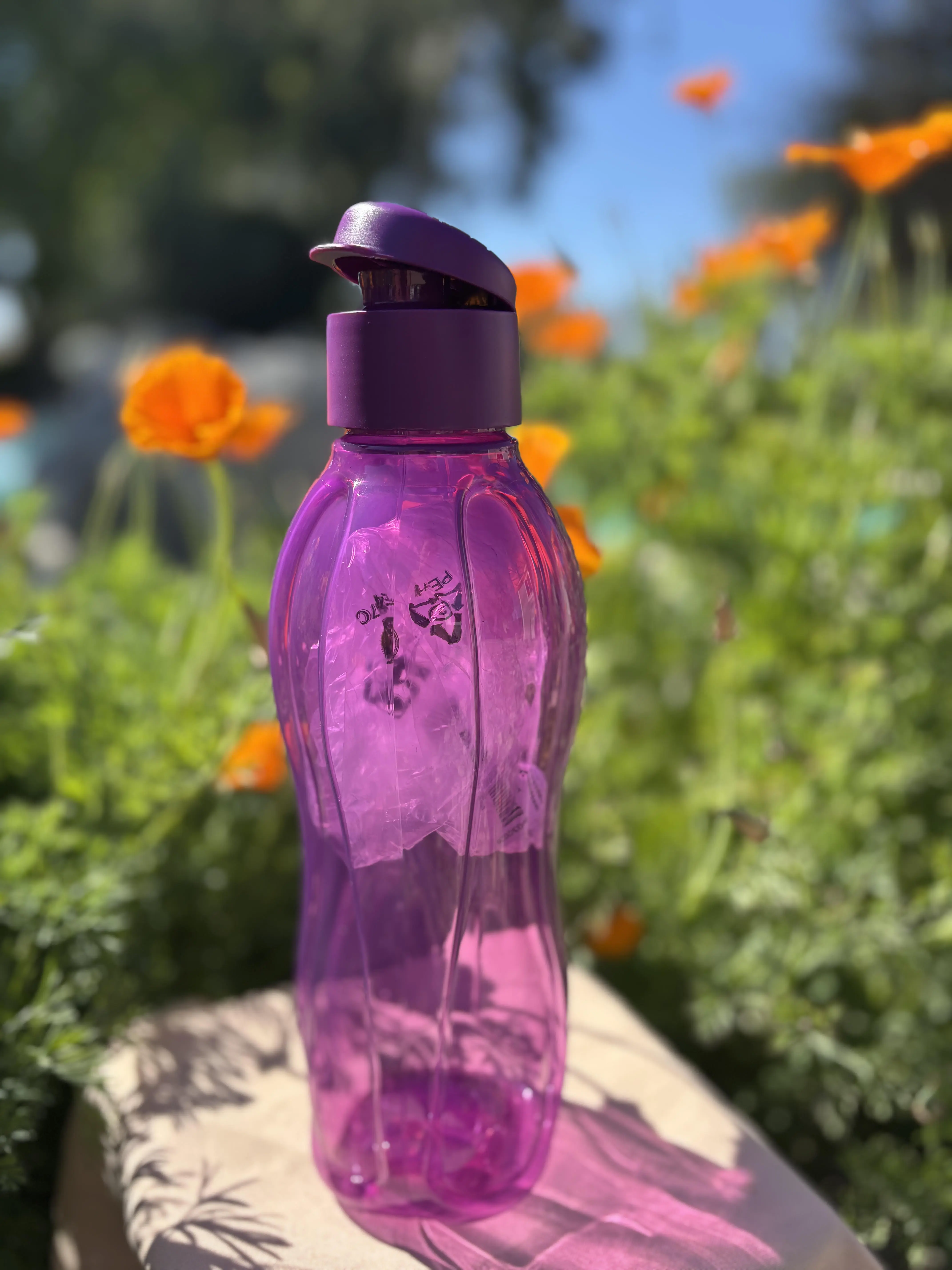 750 ml botellas morada