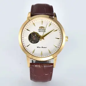 Vanstyle Casa 2026 Men's Mechanical Lion Watch with Brown Leather Strap High-Quality Automatic Movement Hot-Selling Model for Casual & Formal Wear