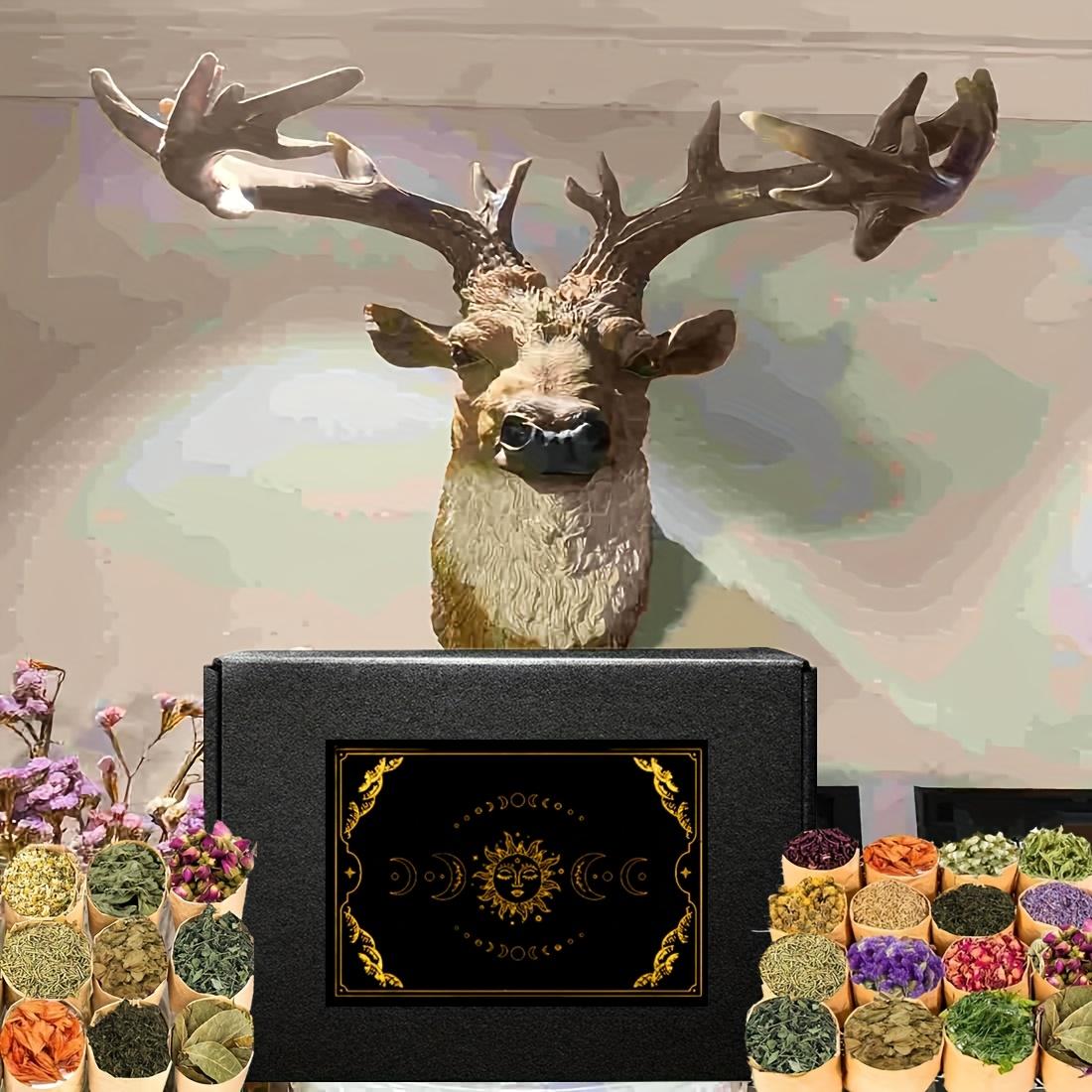 Witchcraft Supplies Kit 40 Pack - Spell Herbs - Beginner Witch Kit Box with Antique Spoon, Random Crystals, Witch Starter Kit, Witch Gift Decor Vintage